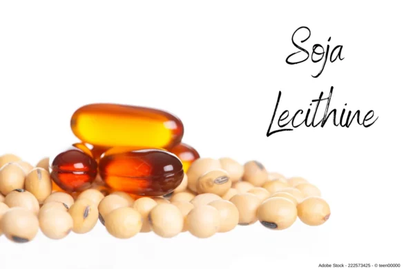 In diesem ausführlichen Artikel erfahren Sie detailliert alles wissenswerte darüber was Soja Lecithine sind. Sind sie gesund oder schädlich?