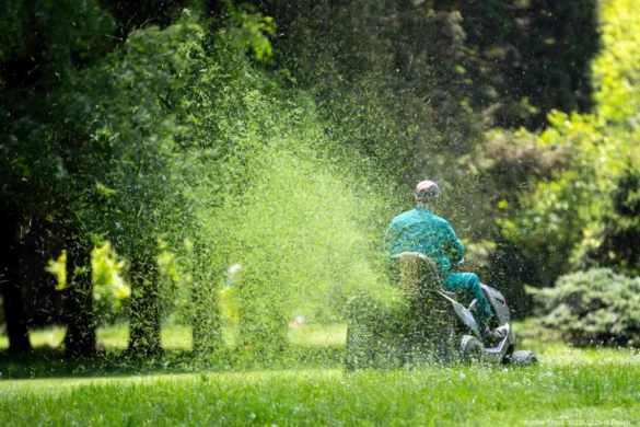 Biomechanik im Garten: Wie Rasenmähen den Körper stärkt